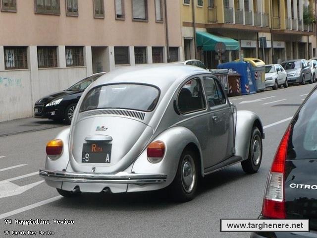 maggiolinosampei20131006.jpg