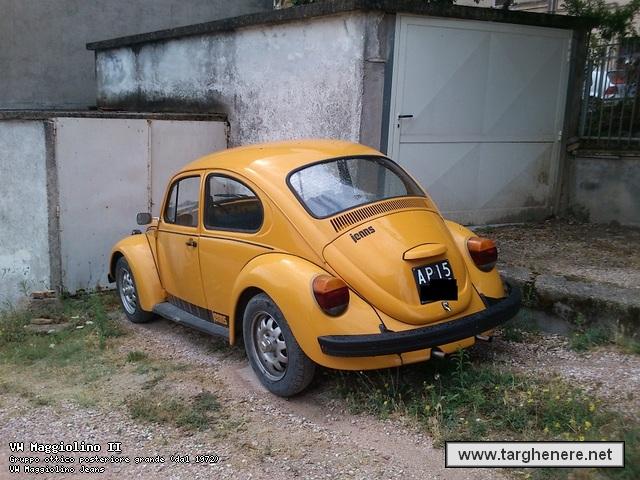 maggiolinodanlib20131010.jpg