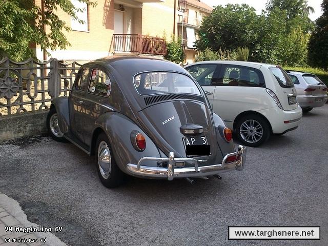 maggiolinodanlib20131011.jpg