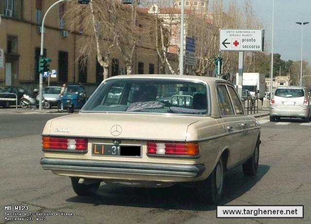 mercedesw123alessio20131020.jpg