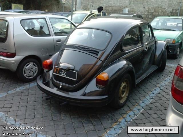 maggiolinobue20131121.jpg