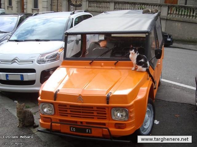 citroenmeharifrancesco80s20131124.jpg