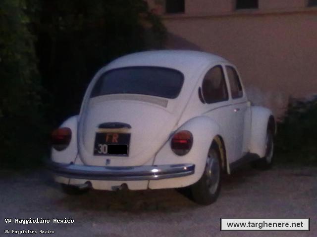 maggiolinoalpiman20131217.jpg