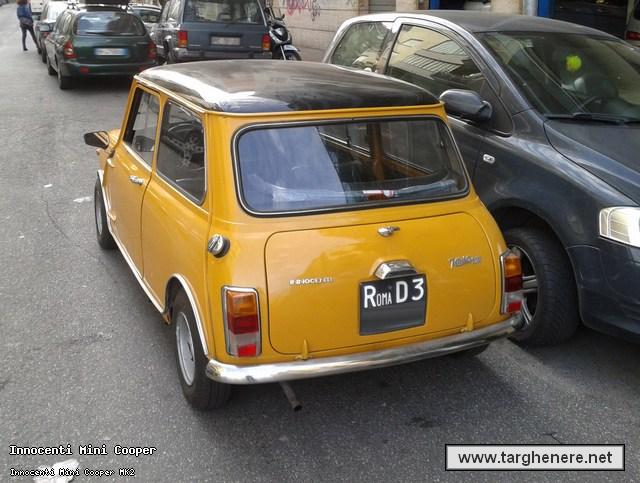 miniccoperdanguard20140128.jpg