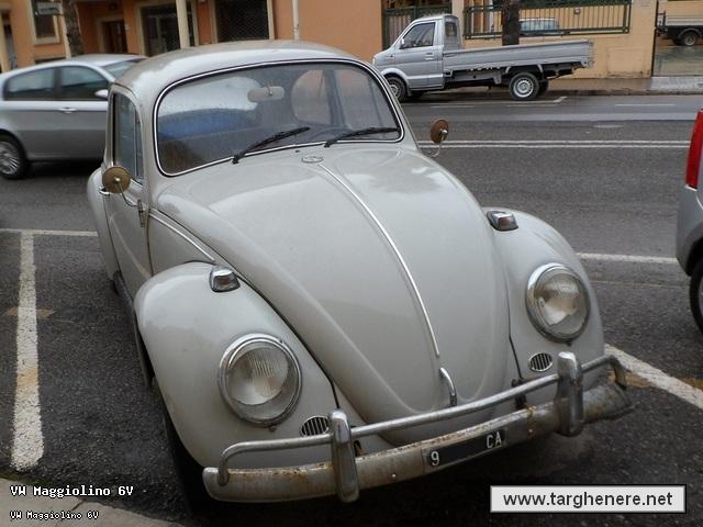 maggiolinodiego20140204.jpg
