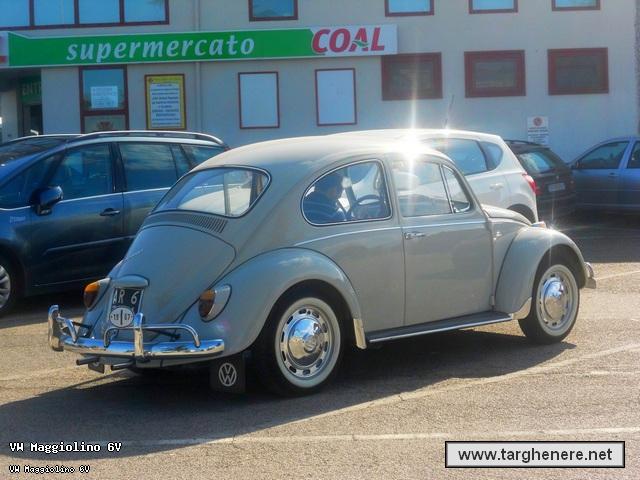 maggiolinoap20140224.jpg