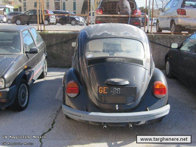 maggiolinodoc0120140228.jpg