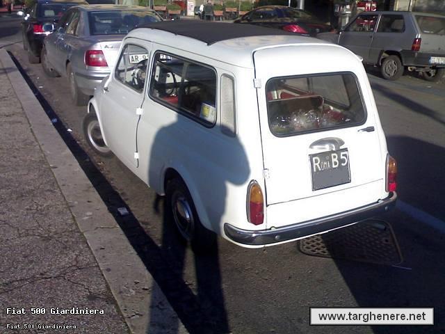 giardipafer.jpg