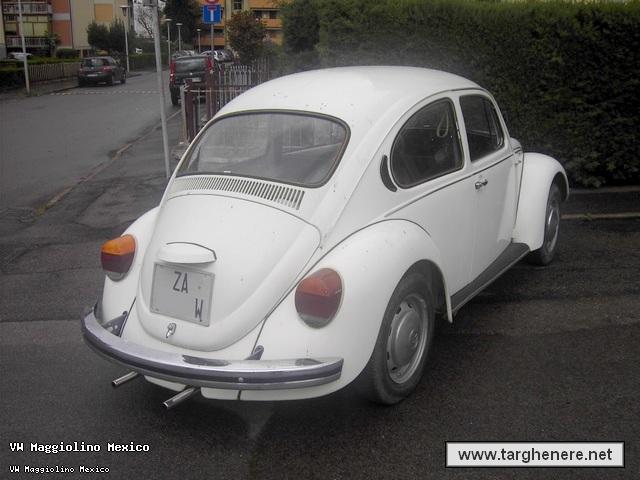 maggiolinoprincemax20140418.jpg
