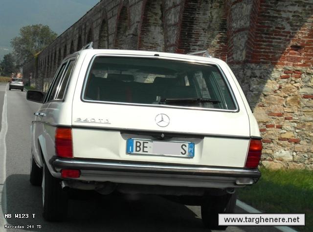 mercedesw123swalessio20140419.jpg