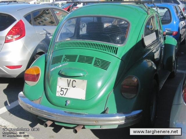 maggiolinodoc0120140523.jpg