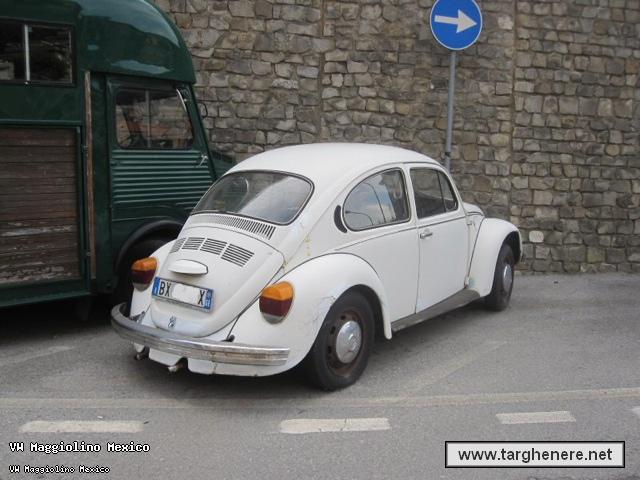 maggiolinodoc0120140605.jpg