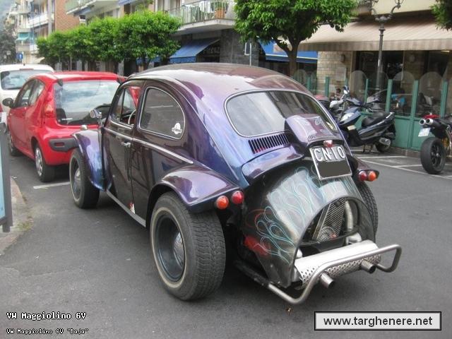 maggiolinoata20140703.jpg