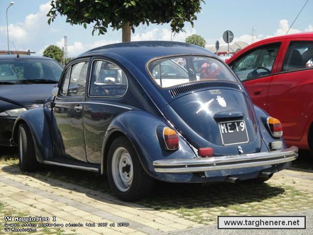 maggiolinoetilico20140717.jpg