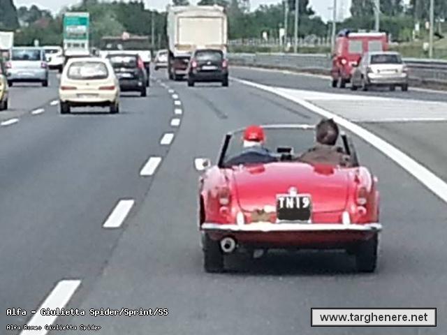 giuliettaspidervirtualcrow20140810.jpg