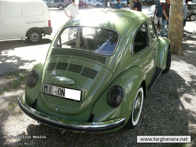 maggiolinodanip20140814.jpg