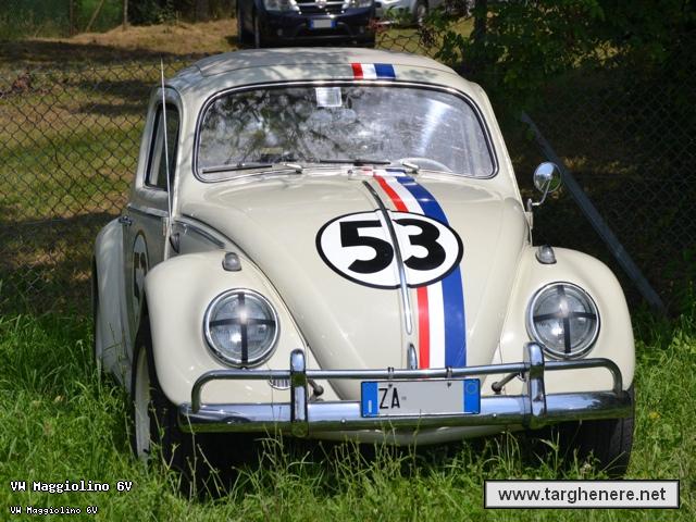 maggiolinotanteuno20140822.jpg