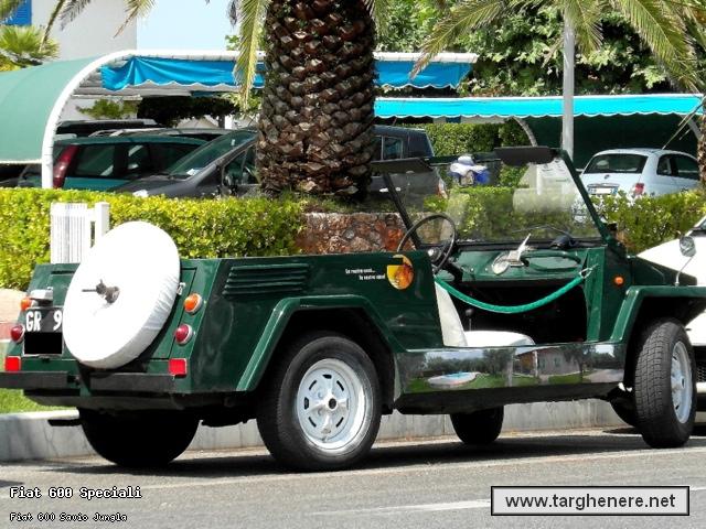 fiatsaviojunglaalessio20141030.jpg