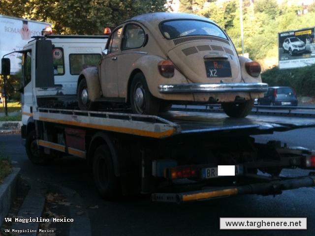 maggiolinofrancesco7820141102.jpg