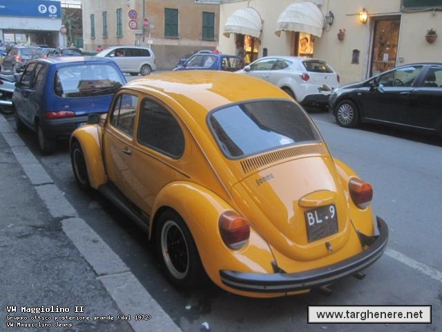 maggiolinodoc0120141112.jpg