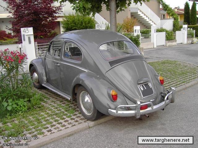 maggiolinoprincemax20141126.jpg