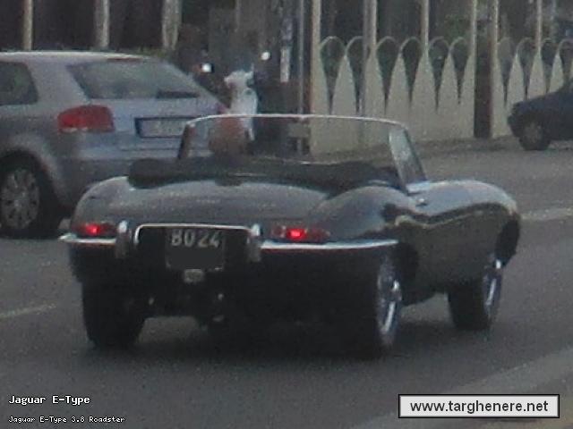 jaguaretypemariano20141215.jpg