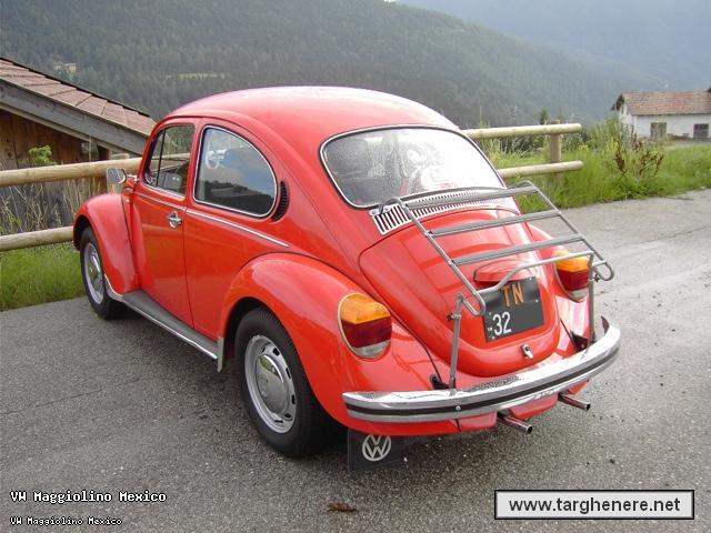 maggiolinoprincemax20141227.jpg