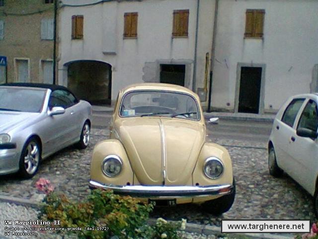 maggiolinodeltago20150101.jpg
