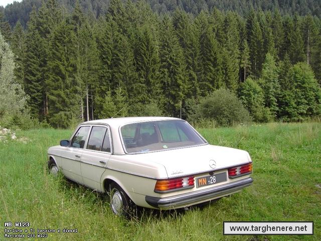 mercedesw123princemax20150117.jpg