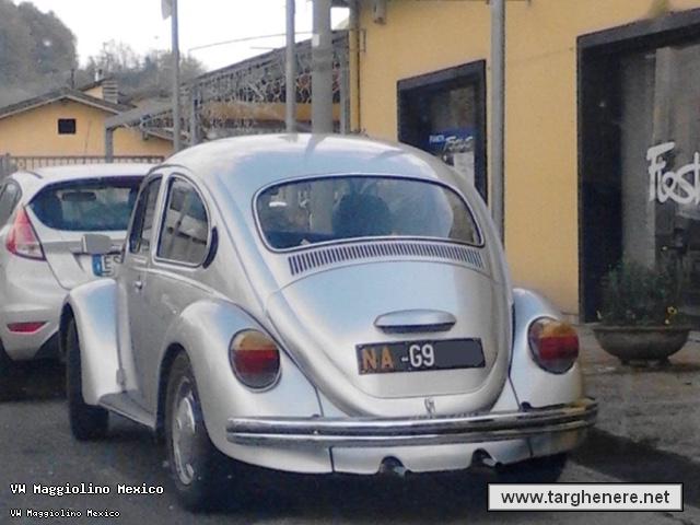 maggiolinoalpiman20150122.jpg