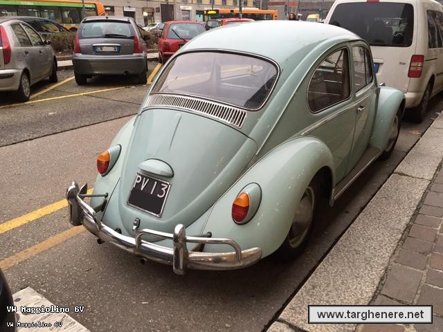 maggiolinos420150126.jpg