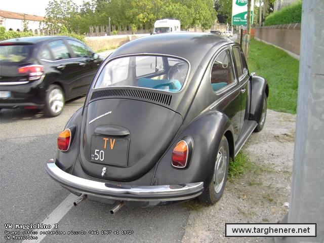 maggiolinoprincemax20150129.jpg