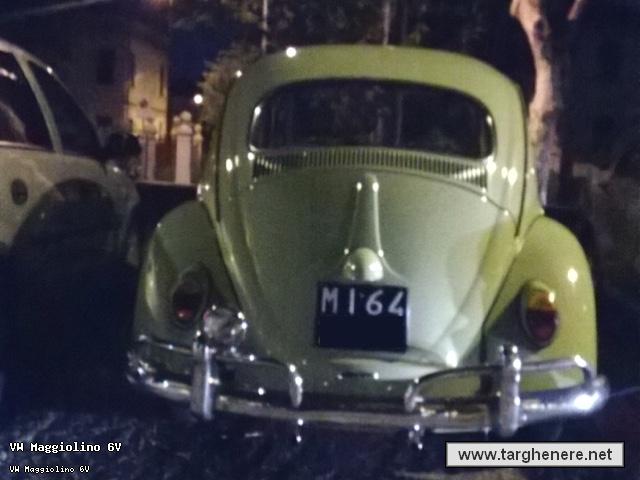 maggiolinostephan20150213.jpg