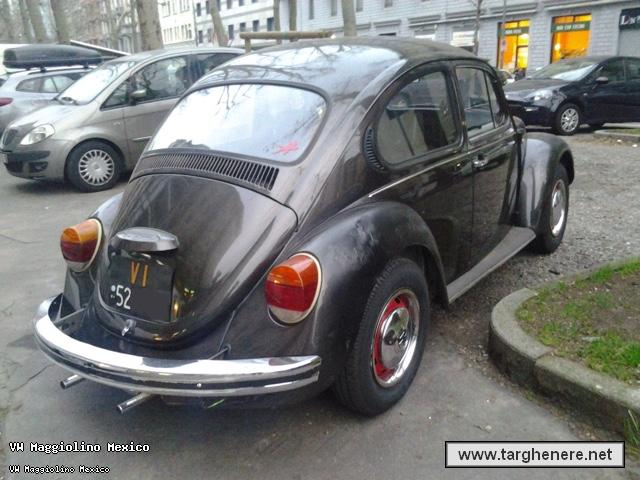 maggiolinomassimo20150301.jpg