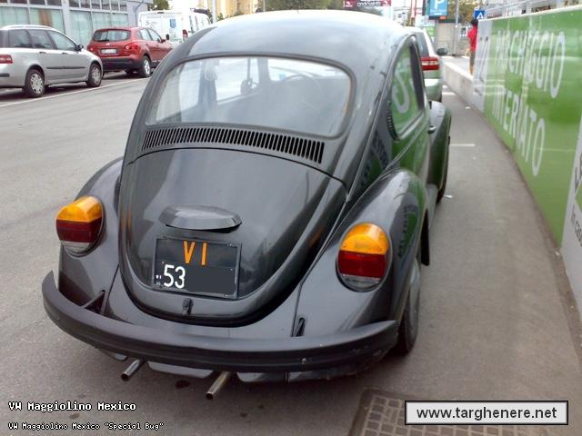 maggiolinoprincemax20150323.jpg