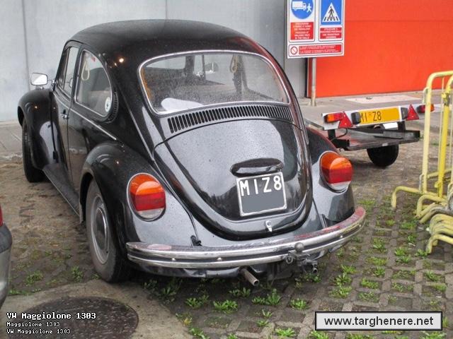 maggiolinoata20150325.jpg