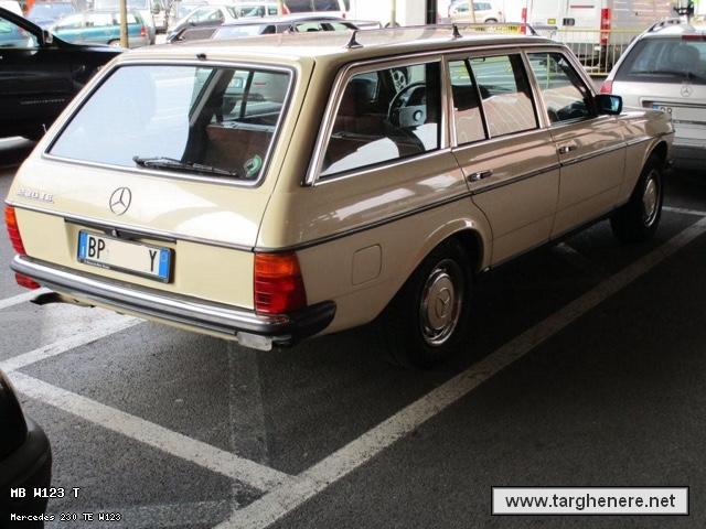 mercedesw123swata20150327.jpg