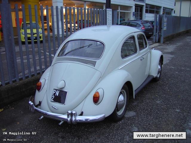 maggiolinoprincemax20150420.jpg