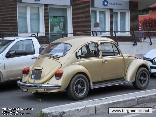 maggiolinoata20150426.jpg