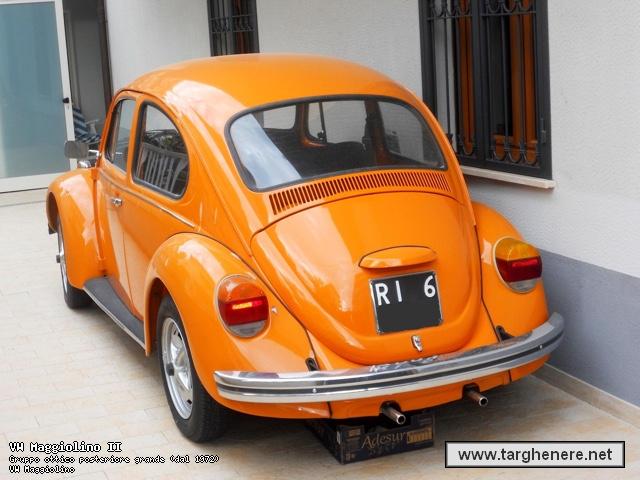 maggiolinoap20150603.jpg