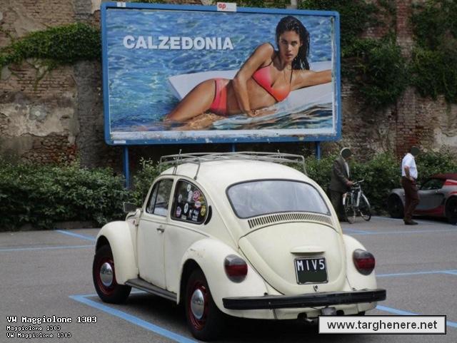 maggiolinoata20150606.jpg