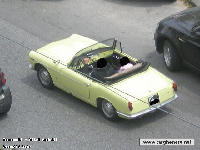 innocentispiderkanonx20150618.jpg