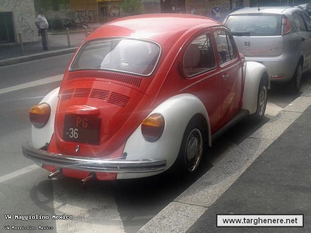 maggiolinotanteuno20150623.jpg