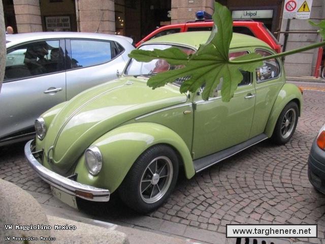 maggiolinoata20150624.jpg