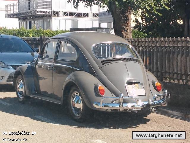 maggiolinooinotna20150713.jpg