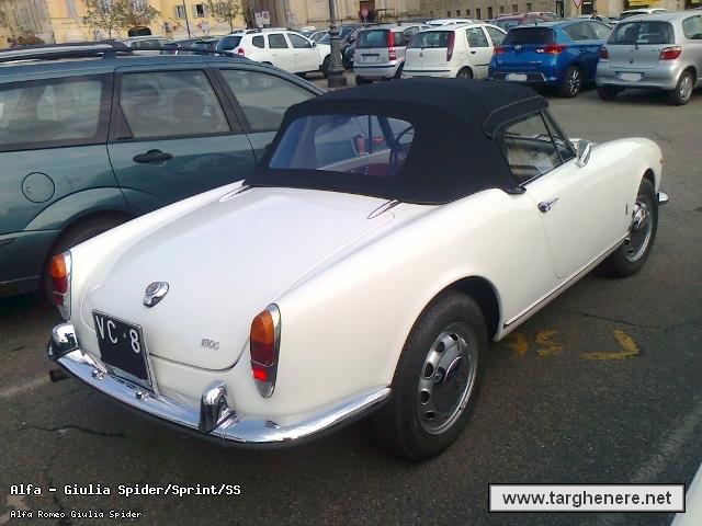 giuliaspideralfa3320150811.jpg