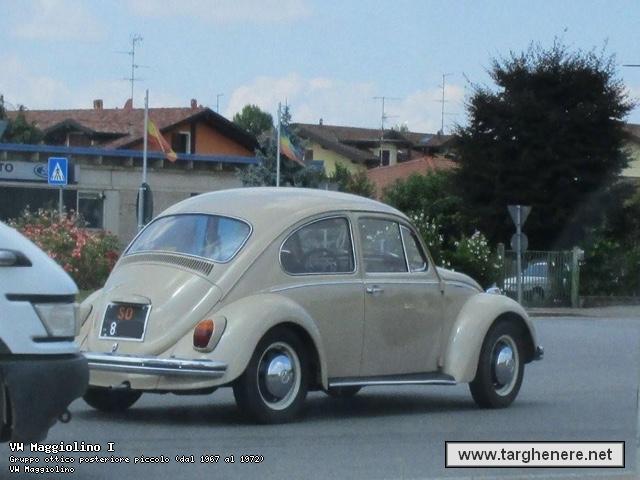 maggiolinoata20150813.jpg