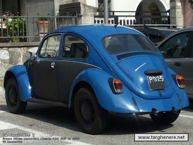 maggiolinoneim20150815.jpg