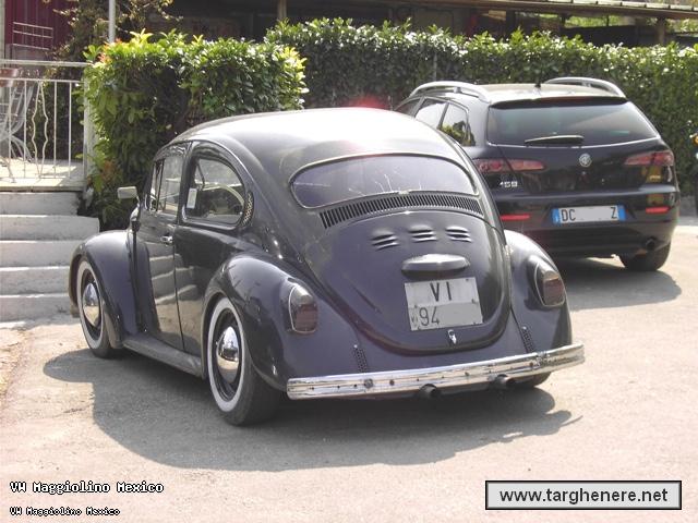maggiolinoprincemax20150821.jpg