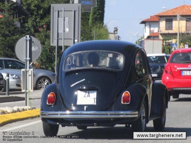 maggiolinoata20150912.jpg